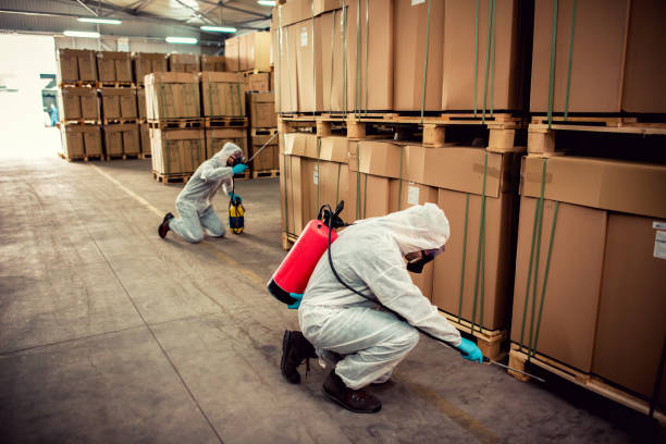 Best Best Pest Control Companies  in Blue Ridge, AL