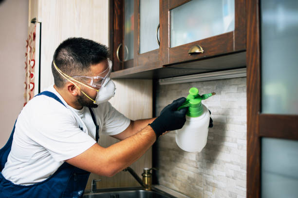 Trusted Blue Ridge, AL Pest Control Experts