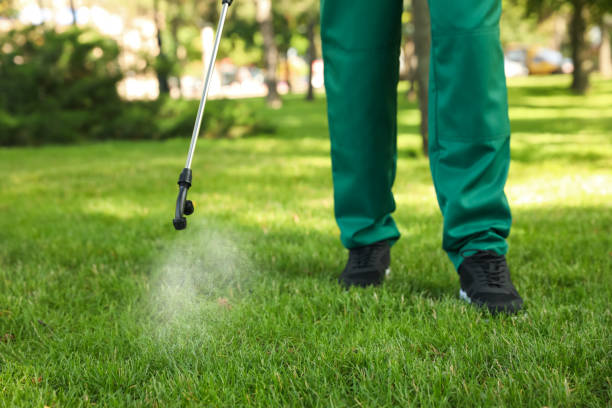Best Emergency Pest Control  in Blue Ridge, AL