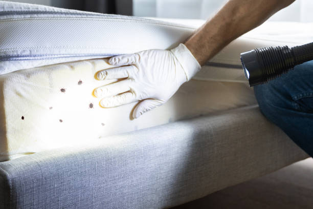 Best Best Pest Control Companies  in Blue Ridge, AL
