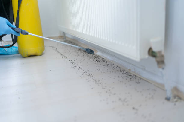 Best Best Pest Control Companies  in Blue Ridge, AL