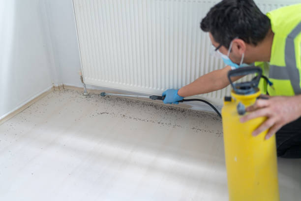 Best Exterminator Services  in Blue Ridge, AL