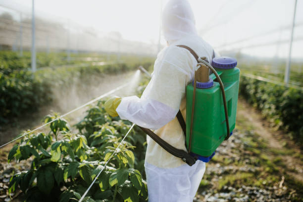 Best Ant Control Services  in Blue Ridge, AL
